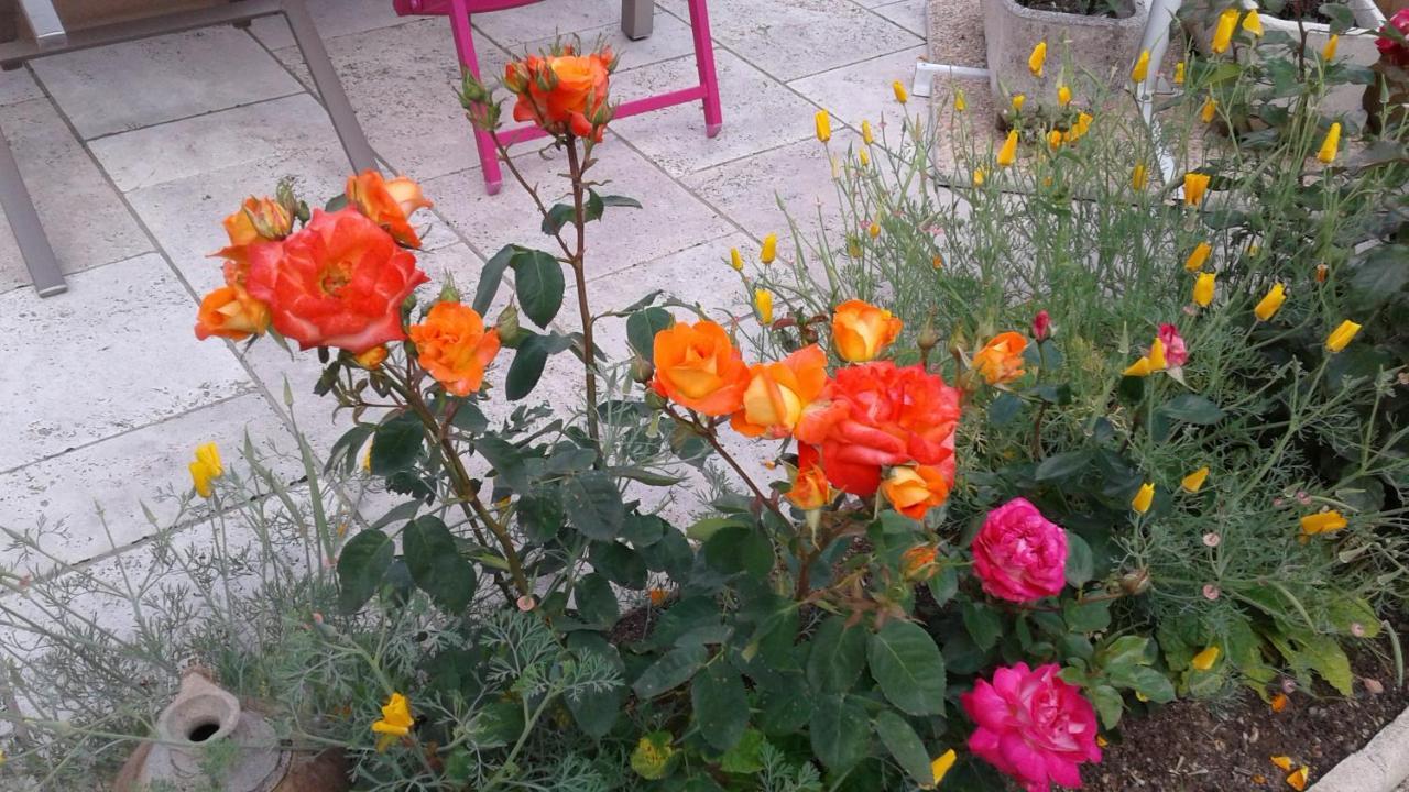 Bed and Breakfast Les Hirondelles Onzain Exterior foto