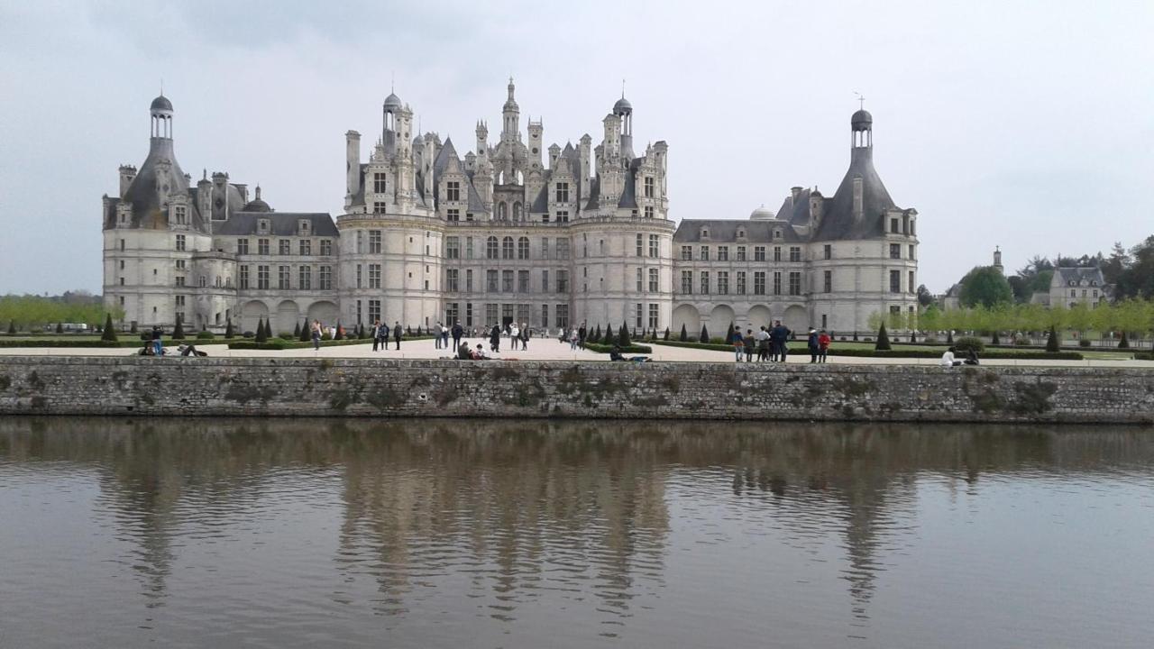 Bed and Breakfast Les Hirondelles Onzain Exterior foto