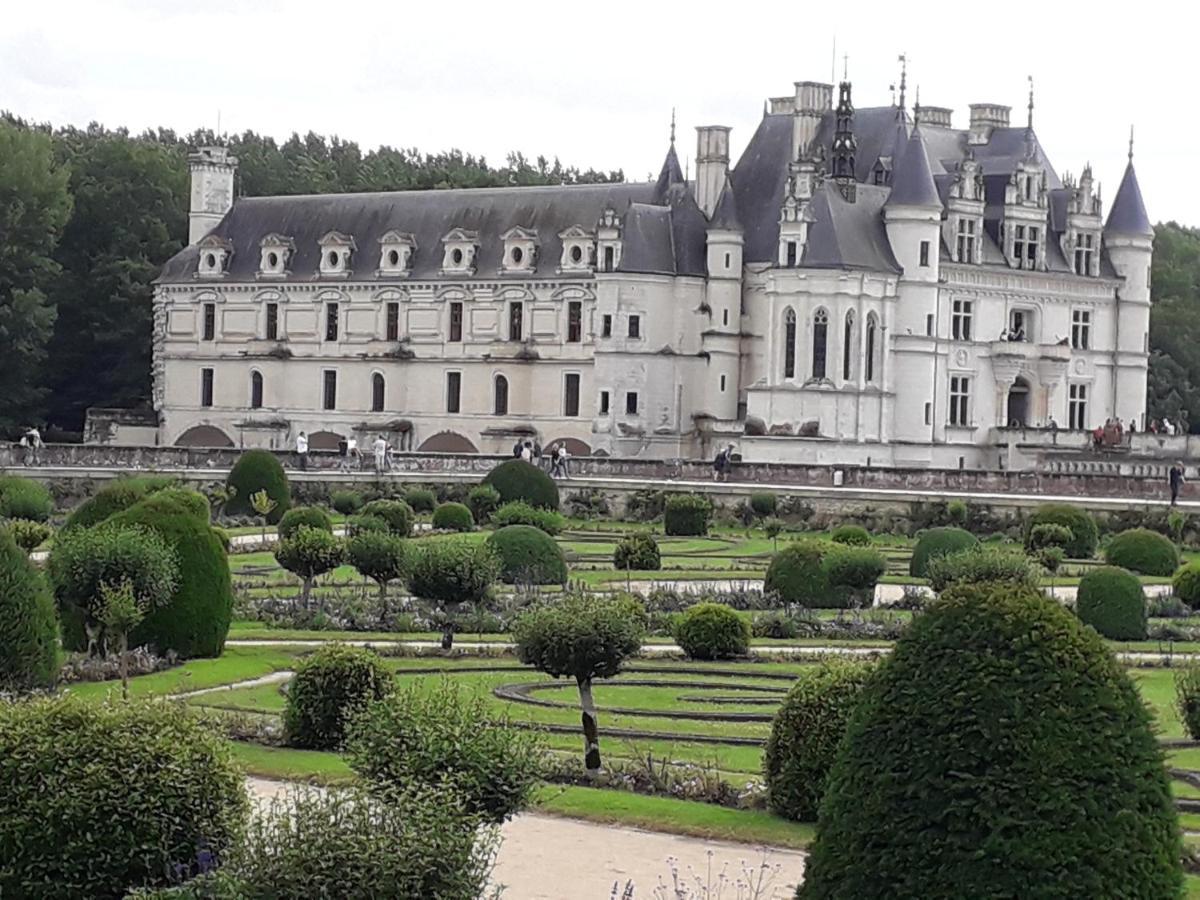 Bed and Breakfast Les Hirondelles Onzain Exterior foto