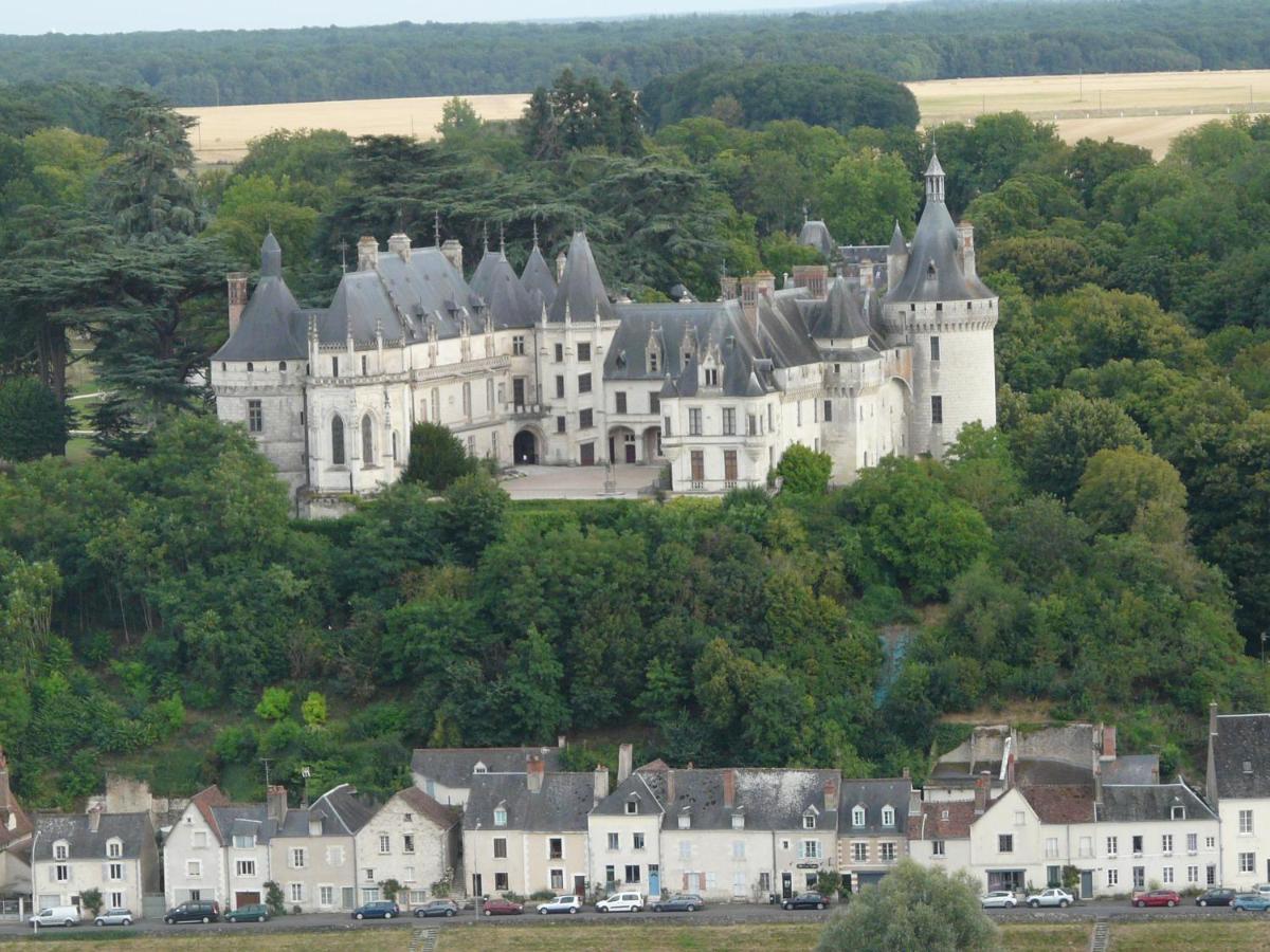 Bed and Breakfast Les Hirondelles Onzain Exterior foto