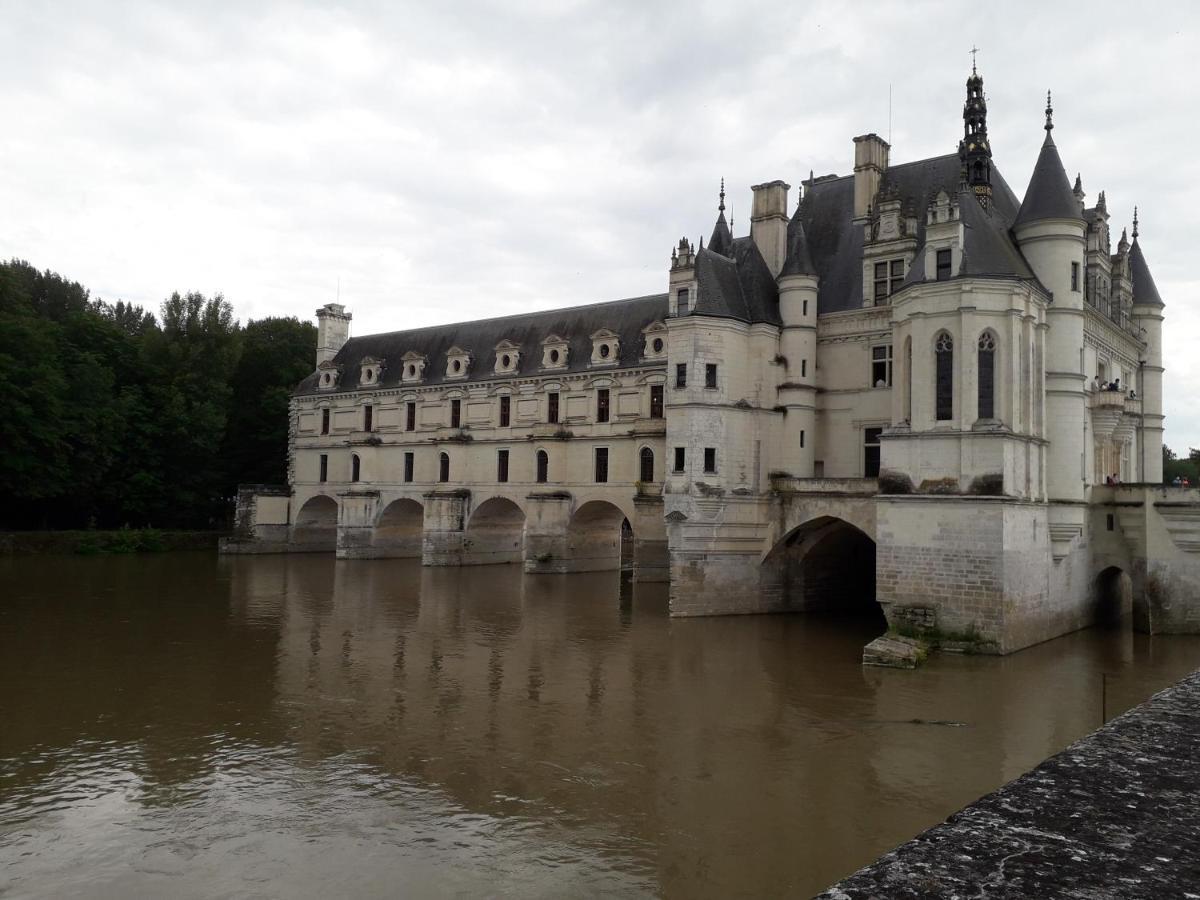 Bed and Breakfast Les Hirondelles Onzain Exterior foto